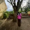 vangelica_ica