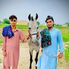 ✨چھچھ دے شوق🐎
