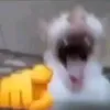 skibidithea_xdd