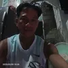dinosalvador148