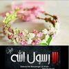 aya.abdelmenem5