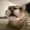 sonik_bro2