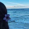 lilykey_