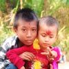 dineshchy346