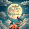 user4257823778878