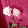 user74131098281788
