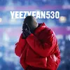 yzyfan530