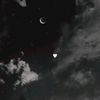 sfaa.hamed.elzein