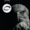 meer_r12