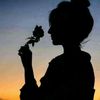 riaz.ahmed0295