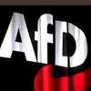 Nur AfD