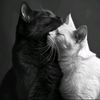 _huseynova_777_
