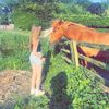 cerysss124