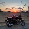 borz75571