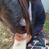 astrid_tax