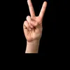 mohamdue7vh