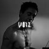 voiz.sfx