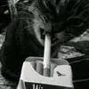 trtt_3_