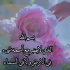 user2678193425695