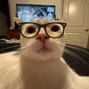 nda_7109