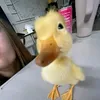 ruuangelo