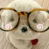 pupudrim