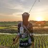 dimas.triputra4