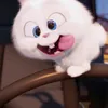 ngdungehehe