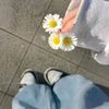 doda_869