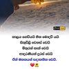 user4626110079269