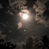 rembulanmalam690