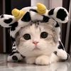 user18381990904185
