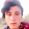 zahar.wali