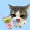sinupasukamatcha