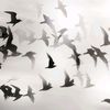 swanb1ack