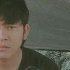 pengunasekitar799