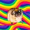 pugnatics