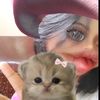 sie_khay