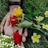 hridoyhussain255