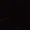 apisll7