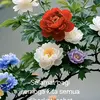 ruth.arik.6324