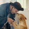 benz_dogbuddy