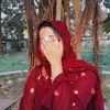 picchi.queen541