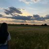 _ara_666