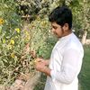 tanhajan495
