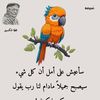 user8884860810242