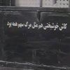 user7806276204046