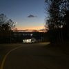dalie_santerre
