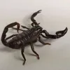 obserwator.obserwator