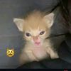 dani_calitos15